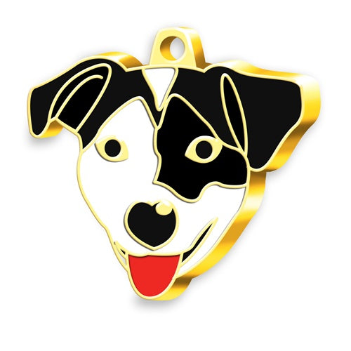 Altın Kaplama Jack Russell Terrier Siyah Beyaz Köpek İsim Künyesi