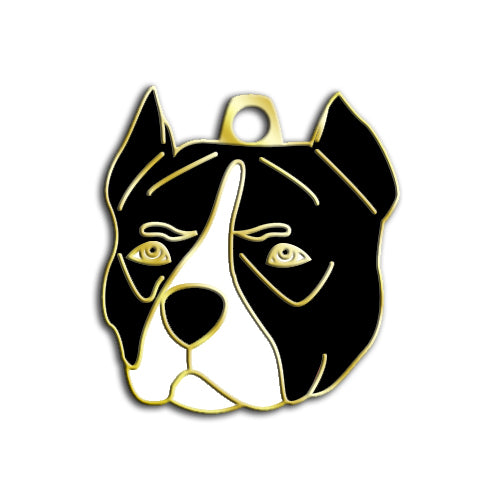 Altın Kaplama Pitbull Siyah Beyaz Köpek İsim Künyesi