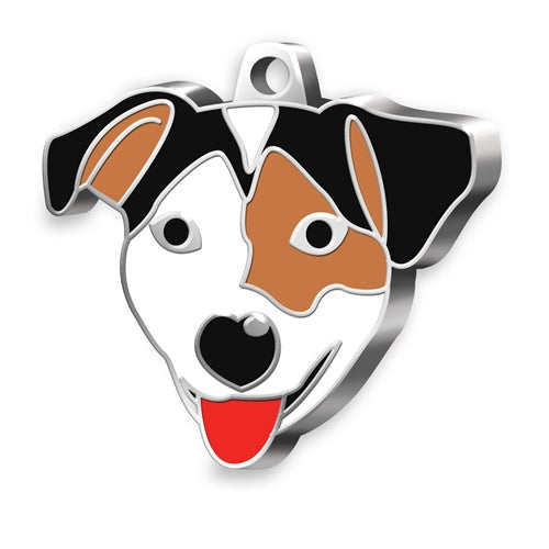 Jack Russell Terrier Kahverengi Beyaz Köpek İsim Künyesi