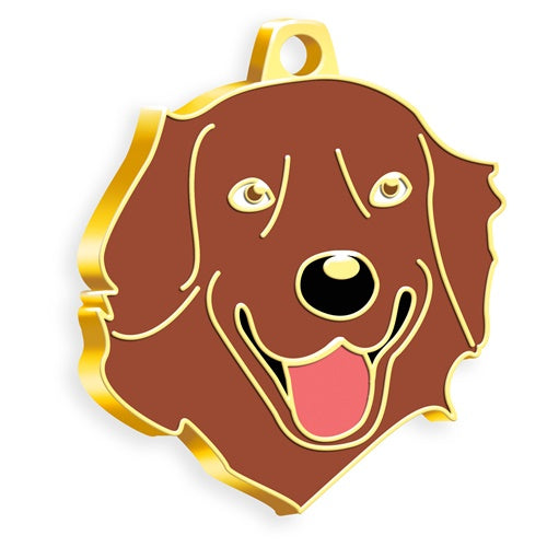 Altın Kaplama Kahverengi Kızıl Golden Retriever Köpek İsim Künyesi