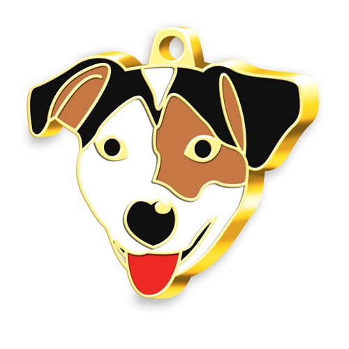 Altın Kaplama Jack Russell Terrier Kahverengi Beyaz Köpek İsim Künyesi