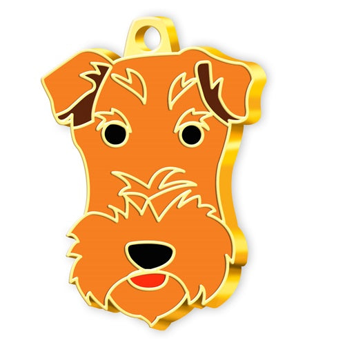 Altın Kaplama Fox Terrier Köpek İsim Künyesi