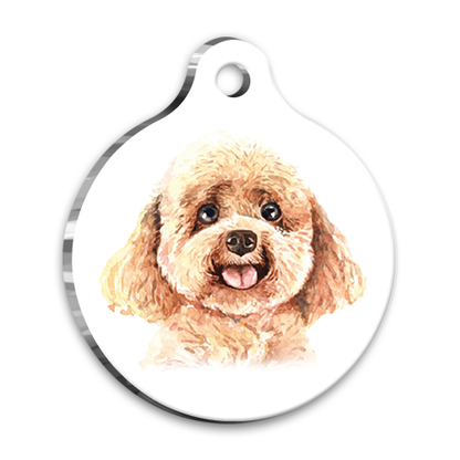 Toy Poodle Köpek İsim Künyesi