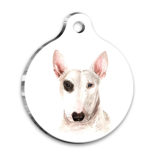 Bull Terrier Köpek İsim Künyesi