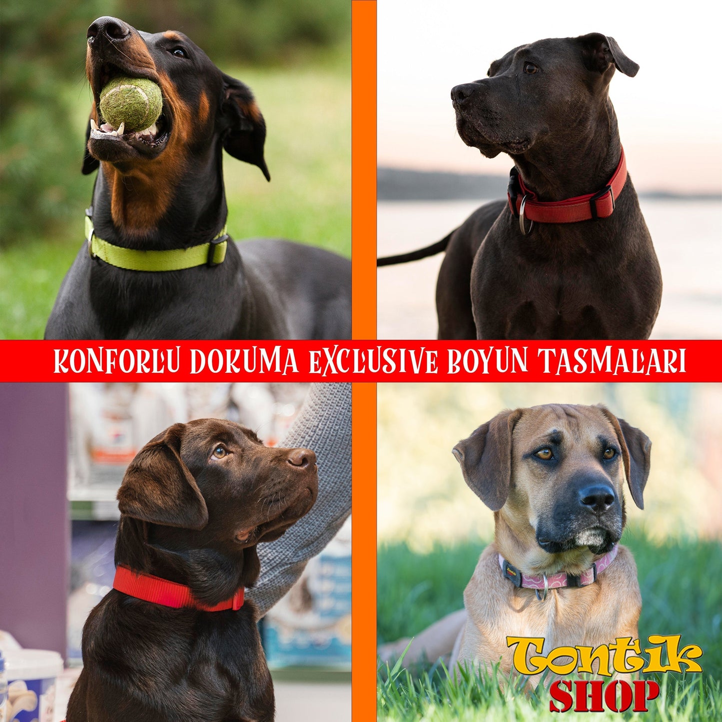 Kırmızı Mat Köpek Boyun Tasması